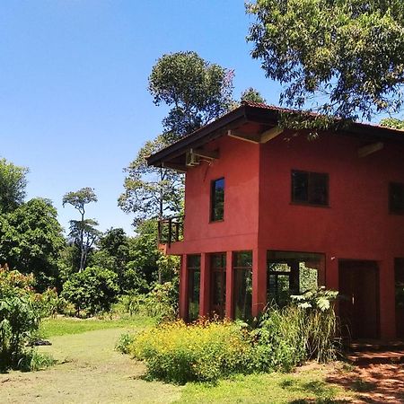 Nativa Iguazu Hotel Puerto Iguazu Exterior photo